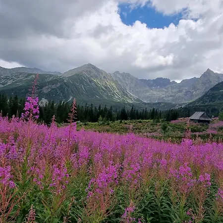 Chalet Lobrotno Gazdzina - Goralska Na Wylacznosc *